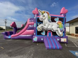 5B19268D 3B1F 4CF2 9468 0598D292E380 1632845839 Unicorn Palace Combo