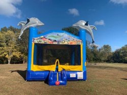 Dolphin Bounce House