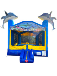 Dolphin Bounce House